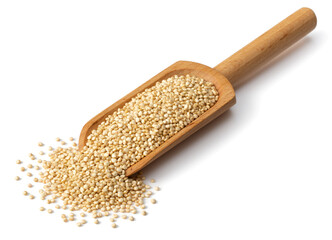 raw white quinoa in the wooden scoop, isolated on white background