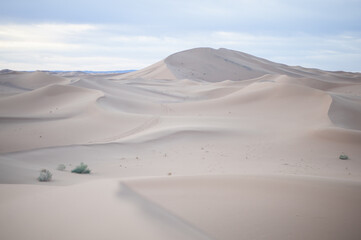 endless expanses of the Sahara huge sand dunes at dawn of sunrise
