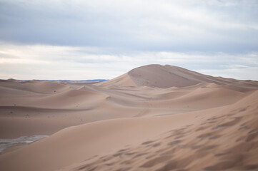 Fototapeta na wymiar endless expanses of the Sahara huge sand dunes at dawn of sunrise