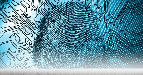 Composition of biometric fingerprint over computer processor circuit board