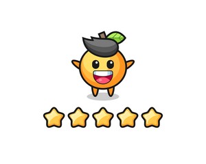 the illustration of customer best rating, orange fruit cute character with 5 stars