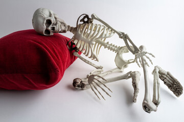 faux squelette humain couché, la tête sur un coussin rouge