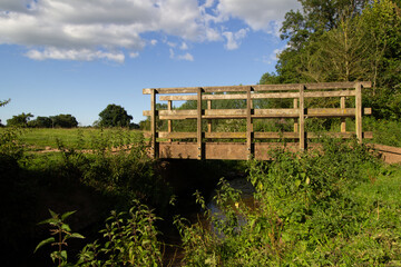 wooden bridge over a stream with wild flowers and a field behind in the evening light