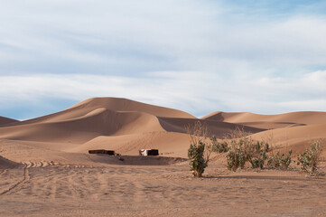 Fototapeta na wymiar berber camp inendless expanses of the Sahara huge sand dunes at dawn of sunrise 