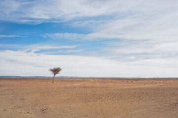 endless expanses of the Sahara huge sand dunes at dawn of sunrise 