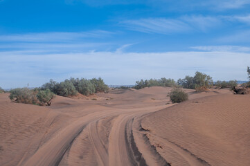 Fototapeta na wymiar extreme travel on powerful SUVs endless expanses of the Sahara huge sand dunes 