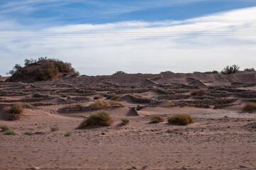 endless expanses of the Sahara huge sand dunes at dawn of sunrise