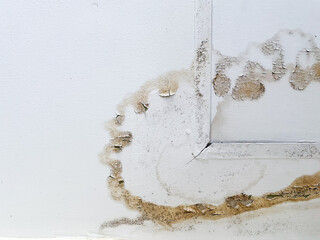 Water stains and mold on the white ceiling caused by moisture in the bathroom. Concept of old house...