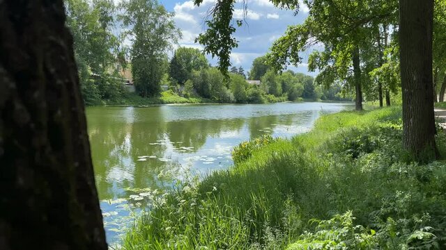 Tranquil Scene Of Pond At Summer Day. Green Peaceful Background.