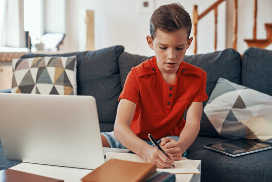 Concentrated boy doing homework using laptop while homeschooling in the living room