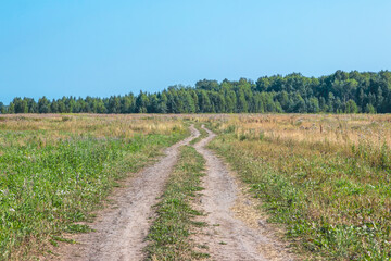 Fototapeta na wymiar Country road among green fields.
