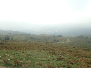 fog in the mountains