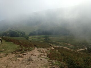 fog in the mountains