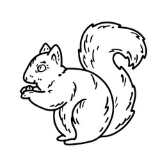 Sketch illustration of a squirrel with a nut in the Doodle style