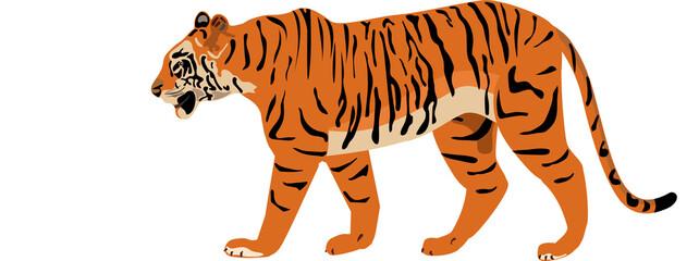 Fototapeta na wymiar tiger full body side view cartoon realistic