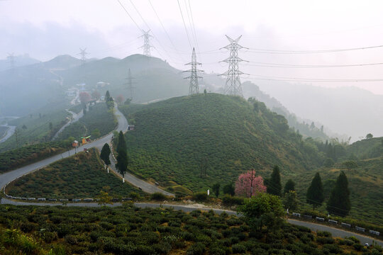 Countryside View Of Mirik [West Bengal, India]