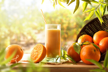 Orange milkshake and pieces of fruit among orange trees