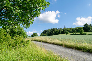 Landschaft bei Ober-Ramstadt