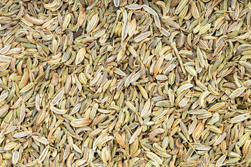 background - many dried fennel seeds