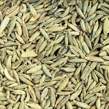 Dried Anise Seeds Close Up