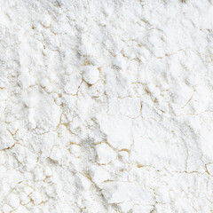 uncooked fine wheat flour close up