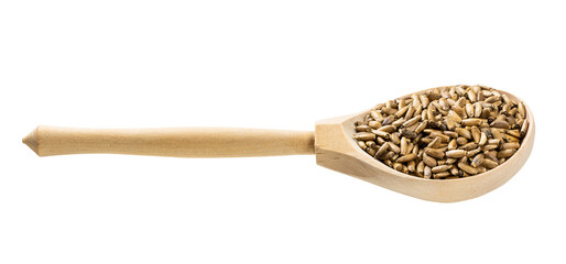 wood spoon with whole milk thistle seeds isolated