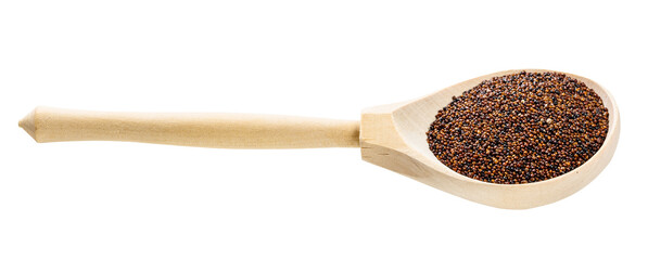 wooden spoon with raw canihua grains isolated