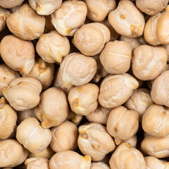 raw dried chickpea seeds close up
