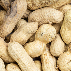 whole peanuts close up