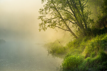 Fototapeta na wymiar A beautiful morning scenery with mist rising from the river. Summer landscape with sunrise in the Northern Europe.
