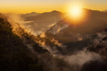 The mist at sunrise in the morning looks refreshing and beautiful.