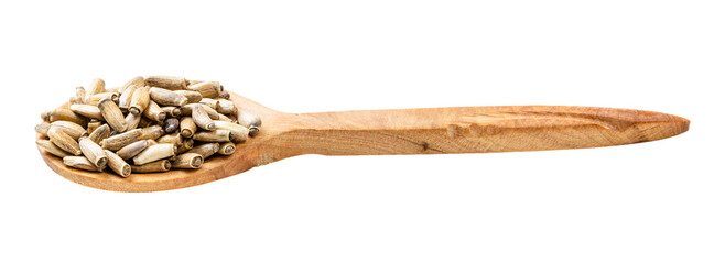 wooden spoon with milk thistle seeds isolated