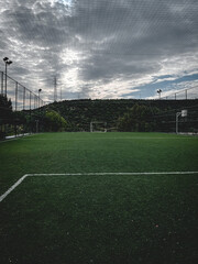 soccer field in the stadium