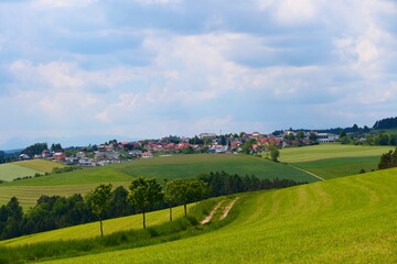 Lichtenegg in der buckligen Welt