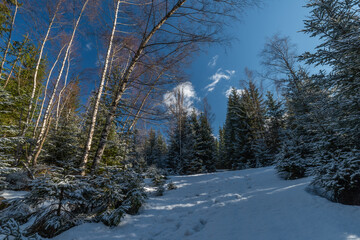 Cold spring with snow in national park Krkonose with blue sky