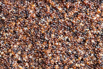 background - porridge from boiled canihua grains
