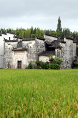 Fototapeta na wymiar Sixi Yancun in Wuyuan County, Jiangxi Province, China. Sixi Yancun is an ancient town in Wuyuan County which is known for its Tang Dynasty architecture. Traditional village buildings with fields.