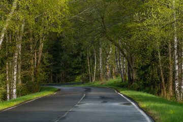 Morning on wet black road after rain near Nejdek town in north Bohemia