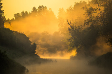 A beautiful summer morning with a mist rising over the river in the golden sunrise light. Summertime scenery of a river valley in Northern Europe.