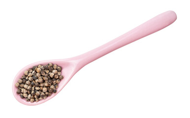 monk's pepper (vitex) in ceramic spoon isolated