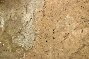 The background is an old cracked brown wall.