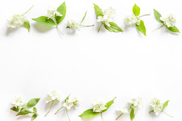 White jasmine flowers with green leaves flat lay
