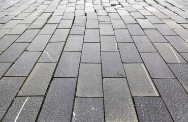 Paving stones on the ground