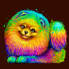 Spitz. Sticker design. Abstract, multicolored, neon portrait of a cute Pomeranian dog on a dark brown background in the style of pop art. Digital vector graphics. Background on a separate layer.