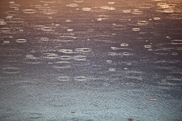 Circles from raindrops and bright reflections on a bright golden and silver water surface. Beautiful glowing circles on water surface close-up. Calm water surface during the rain. Abstract background.