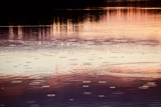 Circles from raindrops and bright reflections on a bright golden and silver water surface. Beautiful glowing circles on water surface close-up. Calm water surface during the rain. Abstract background. © ST-art