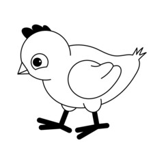 cute chicken coloring book, vector illustration 