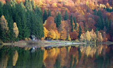 autumn landscape in the mountains with trees reflecting in the lake.