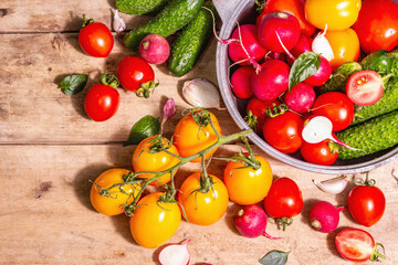 Obraz na płótnie Canvas Assortment of ripe organic farmer red and yellow tomatoes, cucumbers, radish, garlic, and fresh basil leaves