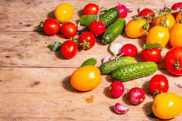 Assortment of ripe organic farmer red and yellow tomatoes, cucumbers, radish, garlic, and fresh basil leaves